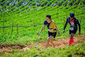 BIB: 1522, 040, 
                            <button type="button" onclick="openModal(19163789)" class="btn btn-primary btn-sm float-right btn-popup" data-toggle="modal" data-target=".modal-high-quality">
                        <i class="fas fa-shopping-cart"></i> Add to Cart
                    </button>
                                            <button type="button" onclick="isThisMe(19163789, true)" class="btn btn-success btn-sm float-right btn-popup btn-isme hidden" data-toggle="tooltip" data-placement="bottom" title="นี่คือรูปของคุณใช่ไหม คลิกที่นี่เพื่อเอาเข้าอัลบั้ม">
                        <i class="fas fa-plus"></i> Add to album
                    </button>
                    <button type="button" onclick="isThisMe(19163789, false)" class="btn btn-warning btn-sm float-right btn-popup btn-isnotme hidden">
                        <i class="fas fa-ban"></i> Remove from album
                    </button>